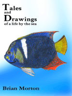 Tales and Drawings of a Life by the Sea