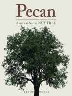 Pecan: America's Native Nut Tree