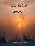 Shadow Winds