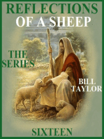 Reflections Of A Sheep: The Series - Book Sixteen