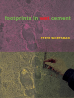 Footprints in Wet Cement