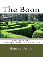 The Boon: Thoughts of a Schizophrenic in Remission