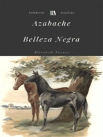 Azabache (Belleza Negra)
