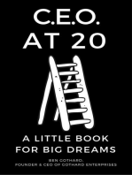 CEO at 20: A Little Book for Big Dreams