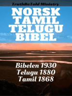 Norsk Tamil Telugu Bibel