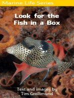 Look for the Fish in a Box