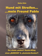 Hund mit Streifen ...: ... mein Freund Pablo