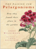 Passion for Pelargoniums: How They Found Their Place in the Garden