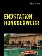 Endstation Hönggerwehr