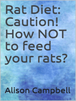 Rat Diet: Caution! How NOT to feed your rats?