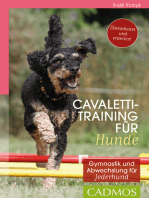 Cavalettitraining für Hunde: Gymnastik und Abwechslung für Jederhund