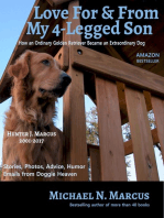 Love For & From My 4-Legged Son: How an ordinary golden retriever became an extraordinary dog