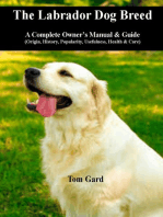 The Labrador Dog Breed: A Complete Owner's Manual & Guide