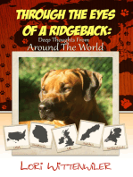 Through The Eyes Of A Ridgeback: Deep Thoughts From Around The World