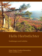 Helle Herbstlichter: Erzählungen und Gedichte
