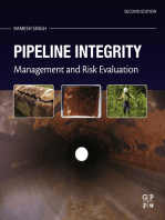 Pipeline Integrity: Management and Risk Evaluation