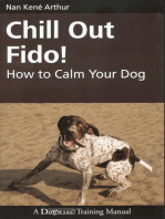 CHILL OUT FIDO!
