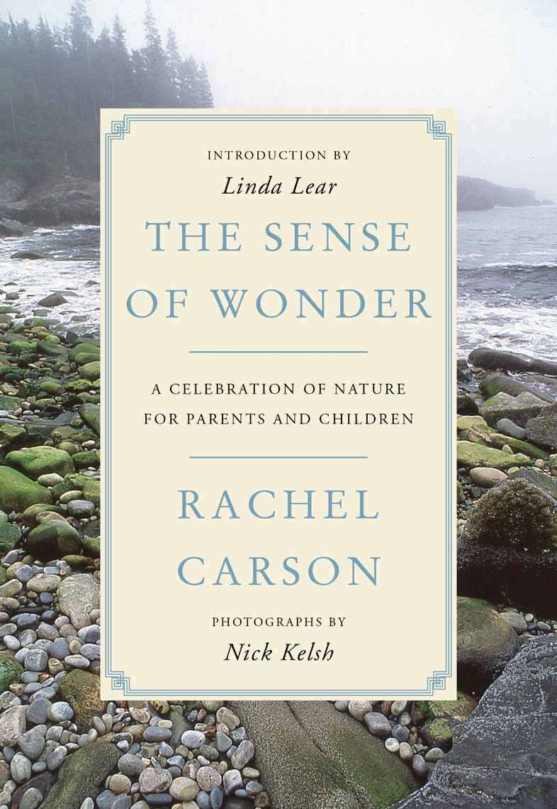 Read The Sense of Wonder Online by Rachel Carson Books