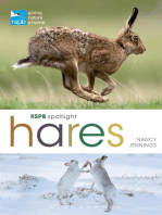 RSPB Spotlight Hares