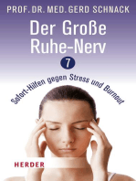 Der Große Ruhe-Nerv: 7 Sofort-Hilfen gegen Stress und Burnout