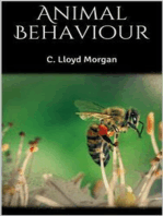 Animal Behaviour