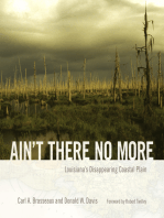 Ain't There No More: Louisiana's Disappearing Coastal Plain