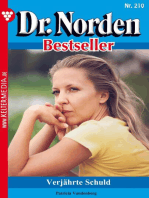 Verjährte Schuld: Dr. Norden Bestseller 210 – Arztroman