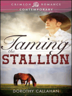 Taming the Stallion