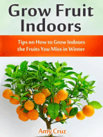 Grow Fruit Indoors: Tips on How to Grow Indoors the Fruits You Miss in Winter
