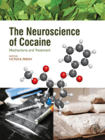 The Neuroscience of Cocaine: Mechanisms and Treatment