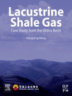 Lacustrine Shale Gas: Case Study from the Ordos Basin