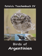 Birds of Argentinien