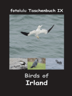 Birds of Irland: fotolulu Taschenbuch IX