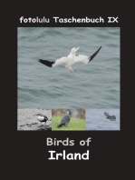 Birds of Irland