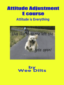 Attitude Adjustment E course