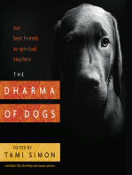 The Dharma of Dogs: Our Best Friends as Spiritual Teachers