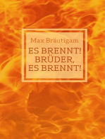 Es brennt! Brüder, es brennt!: Hörbuch - Textfassung