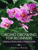 Orchid Growing for Beginners