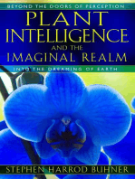 Plant Intelligence and the Imaginal Realm: Beyond the Doors of Perception into the Dreaming of Earth