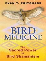 Bird Medicine: The Sacred Power of Bird Shamanism
