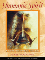 Shamanic Spirit: A Practical Guide to Personal Fulfillment