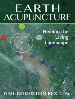 Earth Acupuncture: Healing the Living Landscape