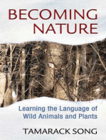 Becoming Nature: Learning the Language of Wild Animals and Plants