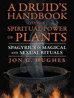 A Druid's Handbook to the Spiritual Power of Plants: Spagyrics in Magical and Sexual Rituals