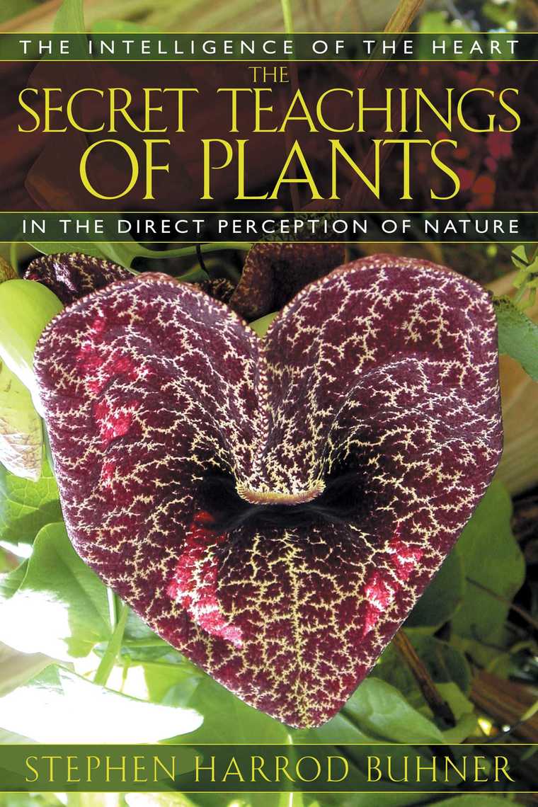 The Secret Teachings of Plants by Stephen Harrod Buhner - Book - Read