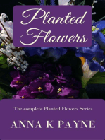Planted Flowers Series: Planted Flowers Series