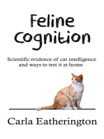 Feline Cognition