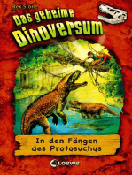Das geheime Dinoversum (Band 14) - In den Fängen des Protosuchus: Kinderbuch über Dinosaurier für Jungen und Mädchen ab 7 Jahre