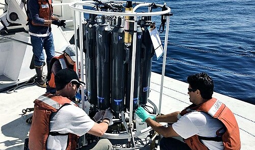 Dna From Skin Scales And Poop Reveals Ocean Life Futurity Everand