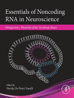 Essentials of Noncoding RNA in Neuroscience: Ontogenetics, Plasticity of the Vertebrate Brain